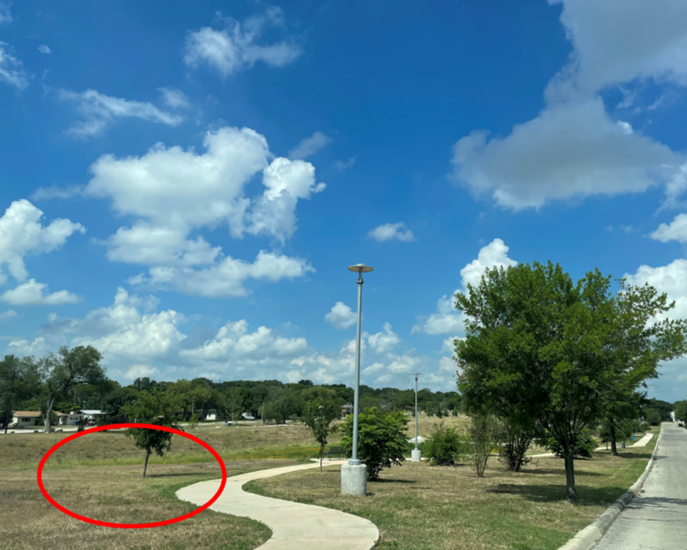 This photo shows Barbara Drive Park from Street view. There is a red circle showing the future sculpture location. 