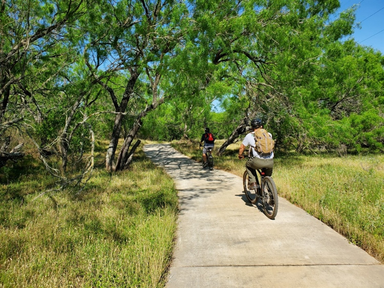 Featured image for Encuesta Greenway Trail 2020