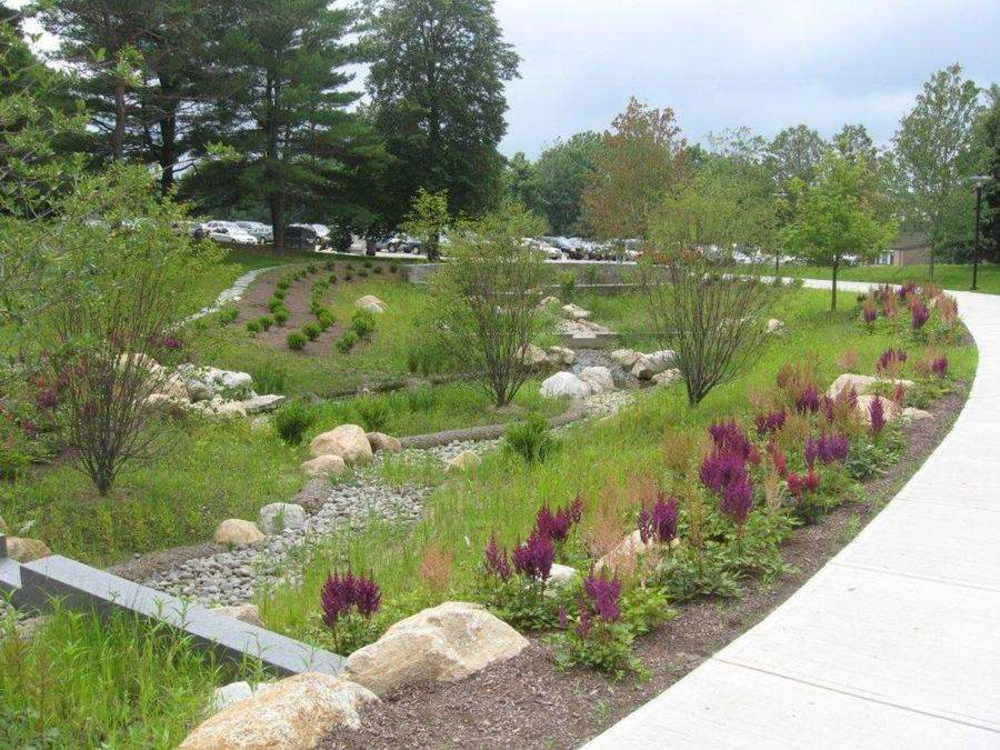 image depicting an example of a bioswell to help with storm water runoff alongside sidewalks and pathways